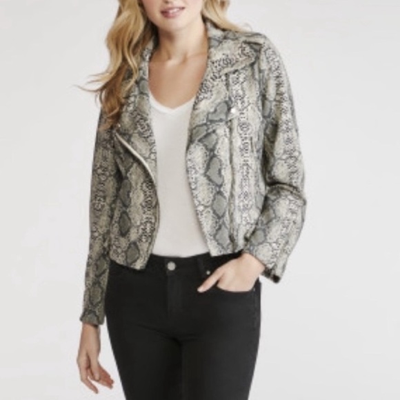 FATE by LFD Snake Print Sueded Moto Jacket S - Picture 1 of 5